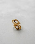 Anello Doppio